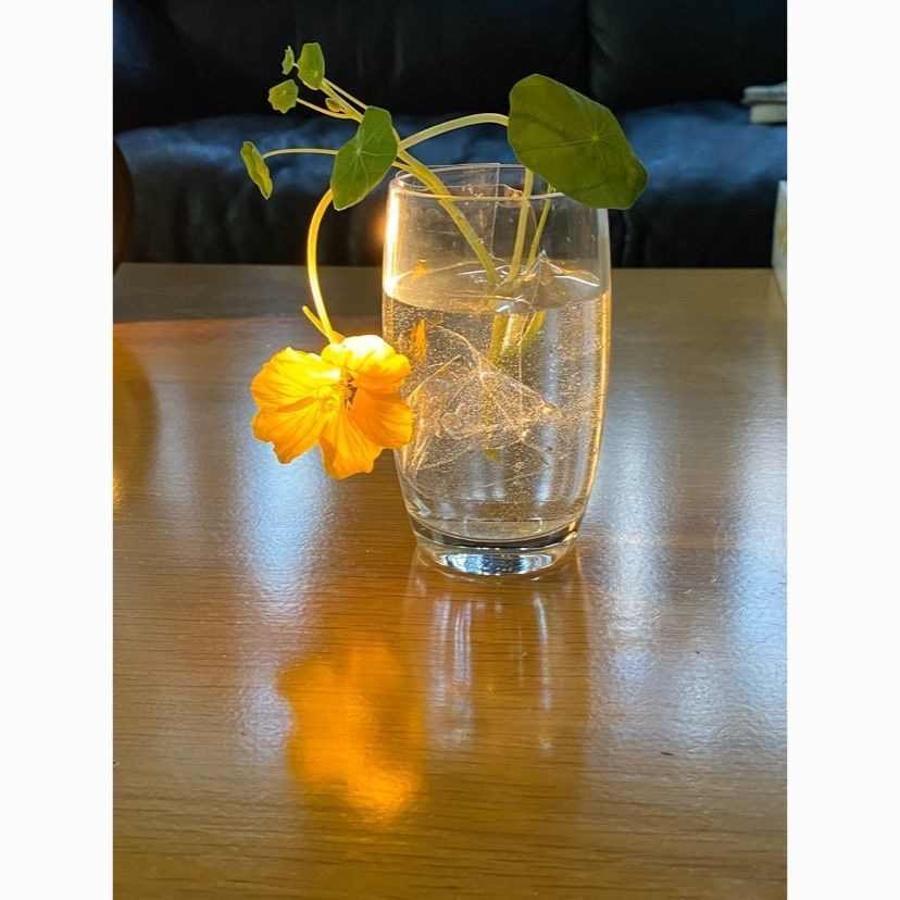 ビンカさんが投稿したやぶそばに関する口コミの画像
