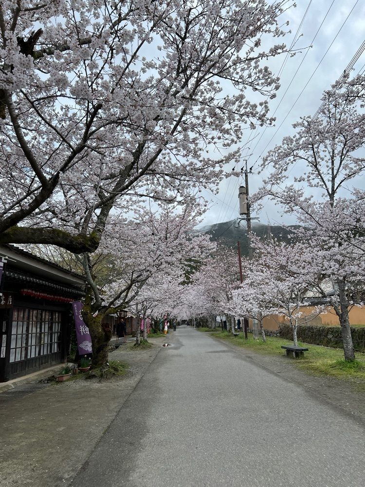 surumeさんが投稿した秋月に関する口コミの画像
