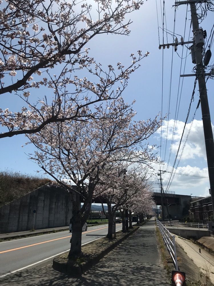 りょう.Ｋさんが投稿した唐津うまかもん市場（ファーマーズマーケット）に関する口コミの画像