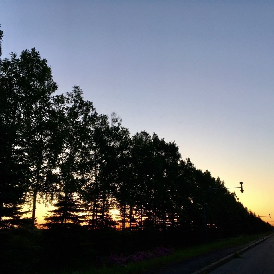 yoshiさんが投稿した幕別町に関する口コミの画像