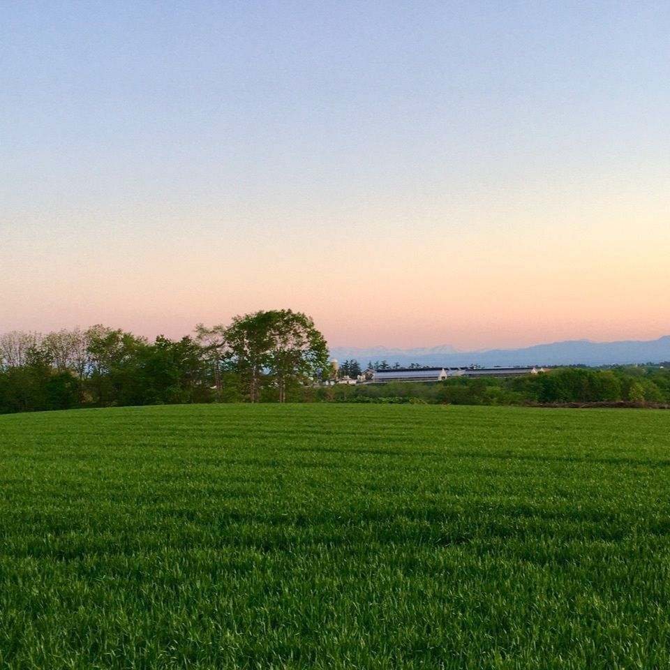 yoshiさんが投稿した幕別町に関する口コミの画像