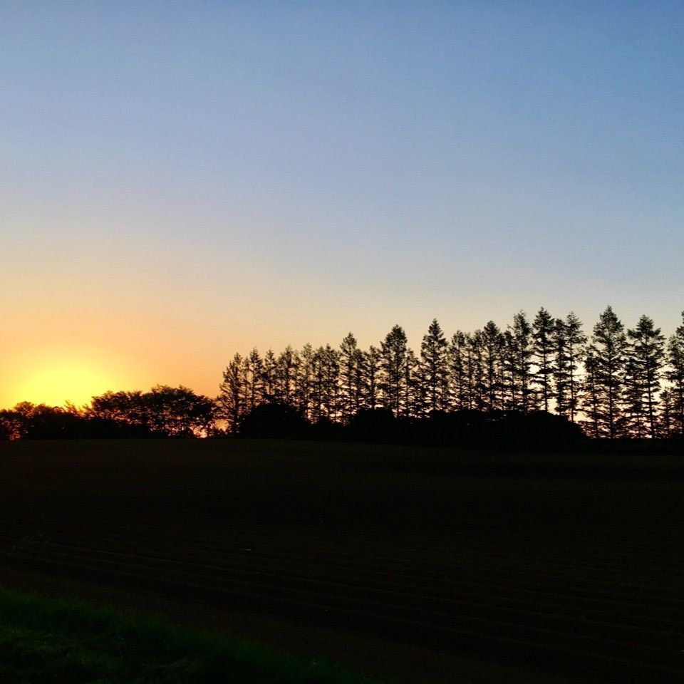 yoshiさんが投稿した幕別町に関する口コミの画像