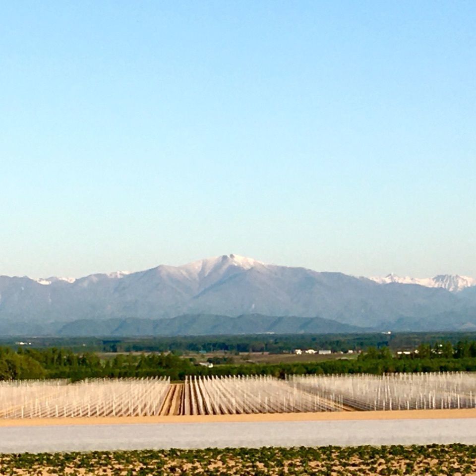 yoshiさんが投稿した幕別町に関する口コミの画像