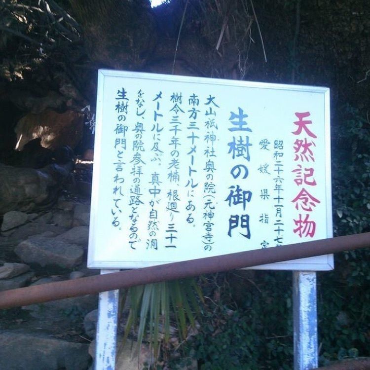 ＤＪゴン太さんが投稿した今治市に関する口コミの画像