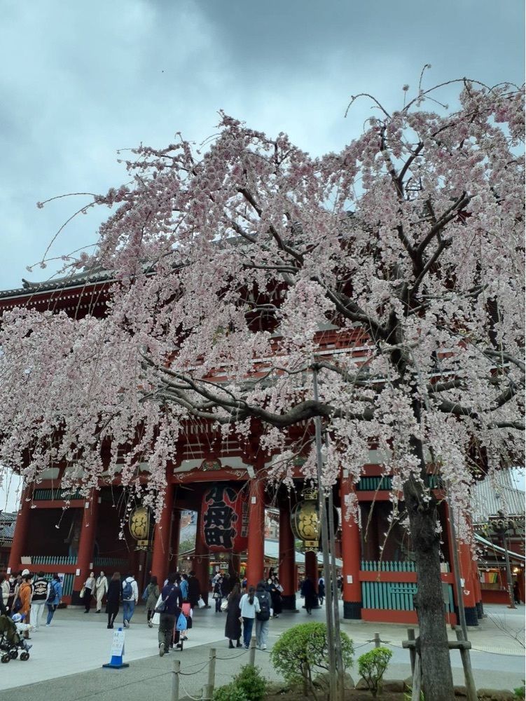 かよこさんが投稿した京成上野駅に関する口コミの画像