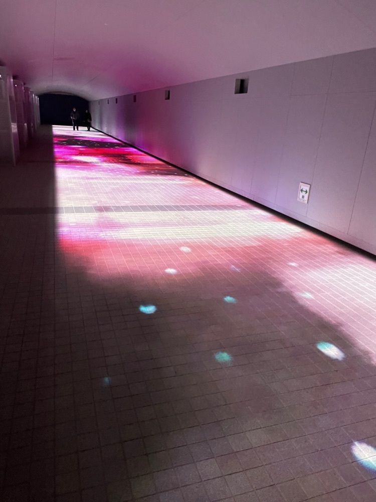 fumiさんが投稿した印度のルー 大井競馬場店に関する口コミの画像