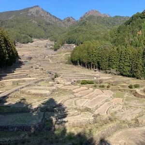 四谷千枚田 8枚目