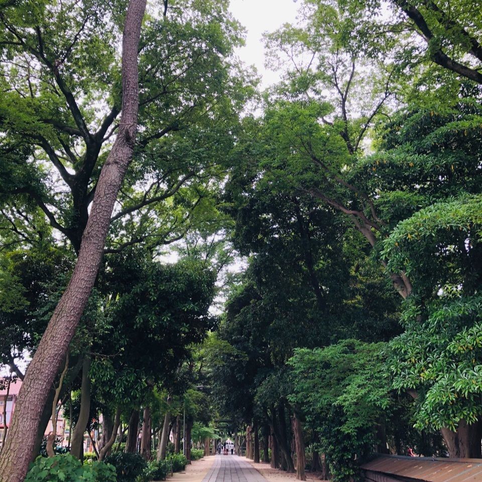 chiekoさんが投稿した久伊豆神社に関する口コミの画像
