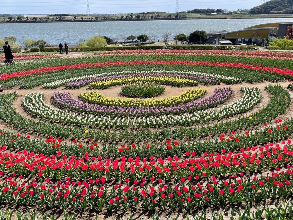 Mitsuさんが投稿した芦ケ池農業公園「サンテパルクたはら」に関する口コミの画像