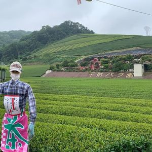 千財農園 1枚目