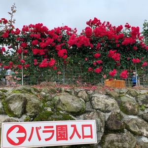 千財農園 2枚目