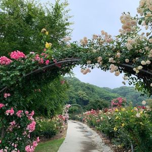 千財農園 5枚目