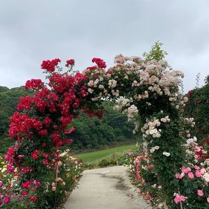 千財農園 8枚目