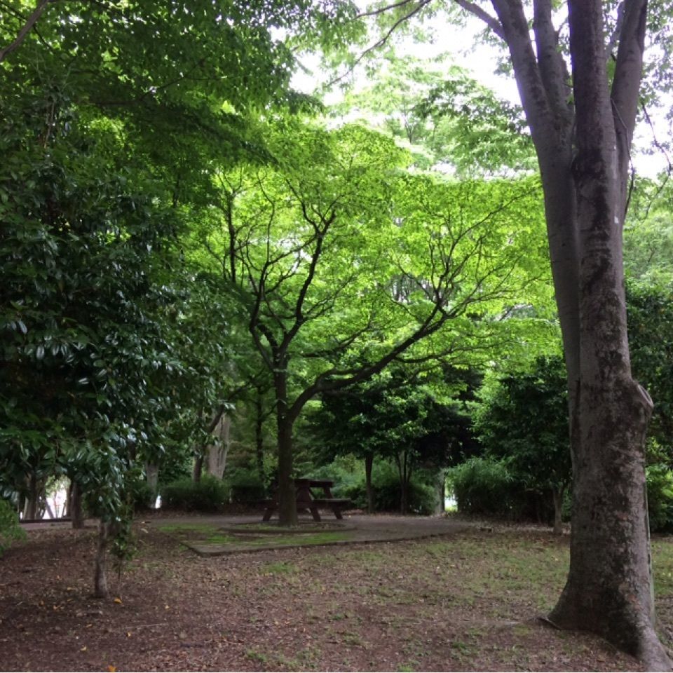 reo0318さんが投稿したさきたま緑道に関する口コミの画像