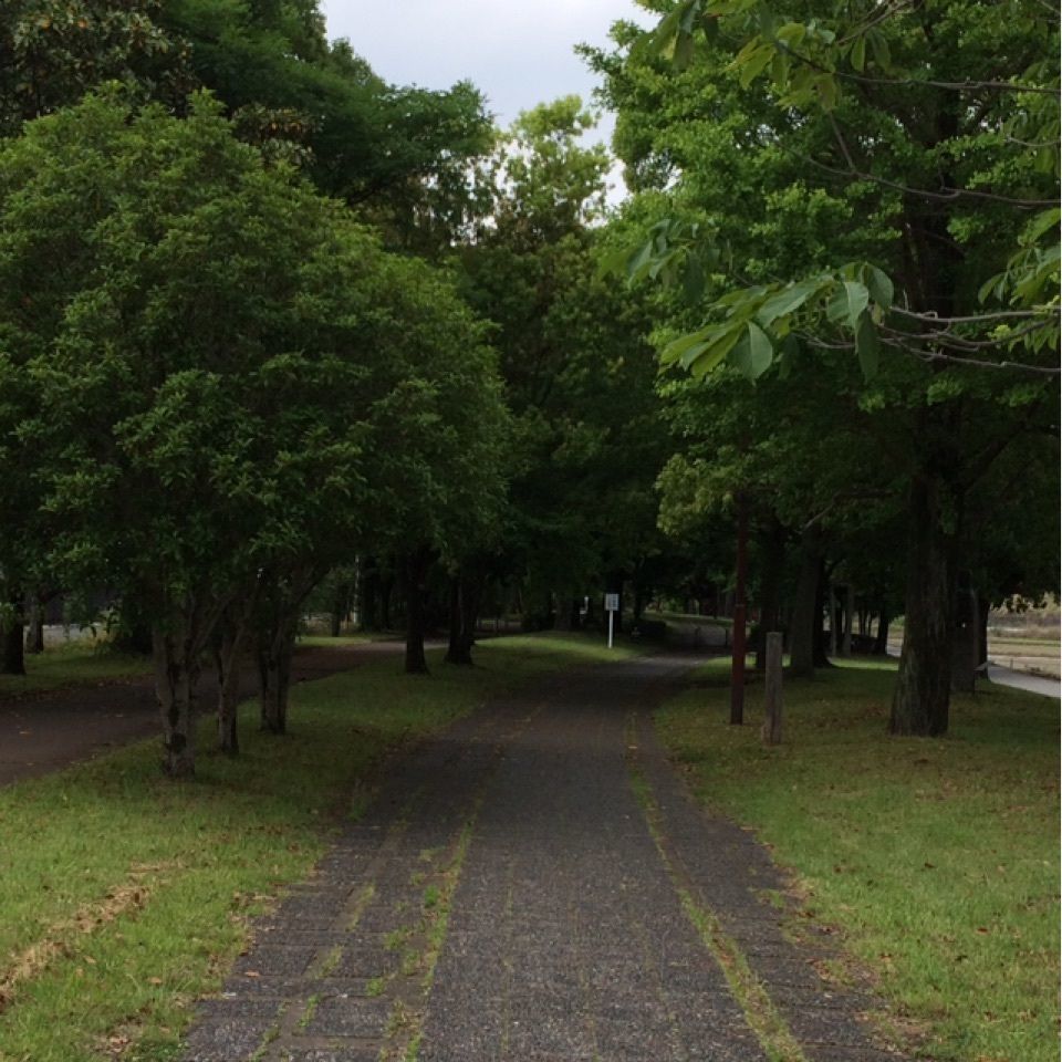 reo0318さんが投稿したさきたま緑道に関する口コミの画像