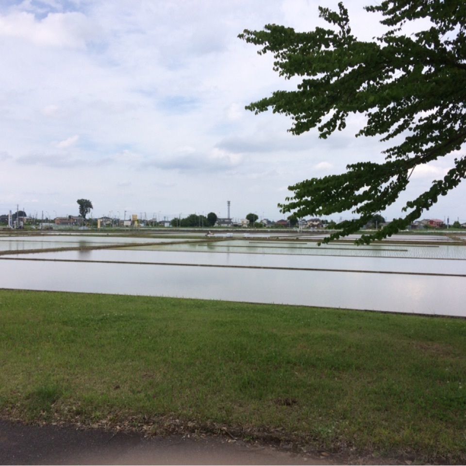reo0318さんが投稿したさきたま緑道に関する口コミの画像