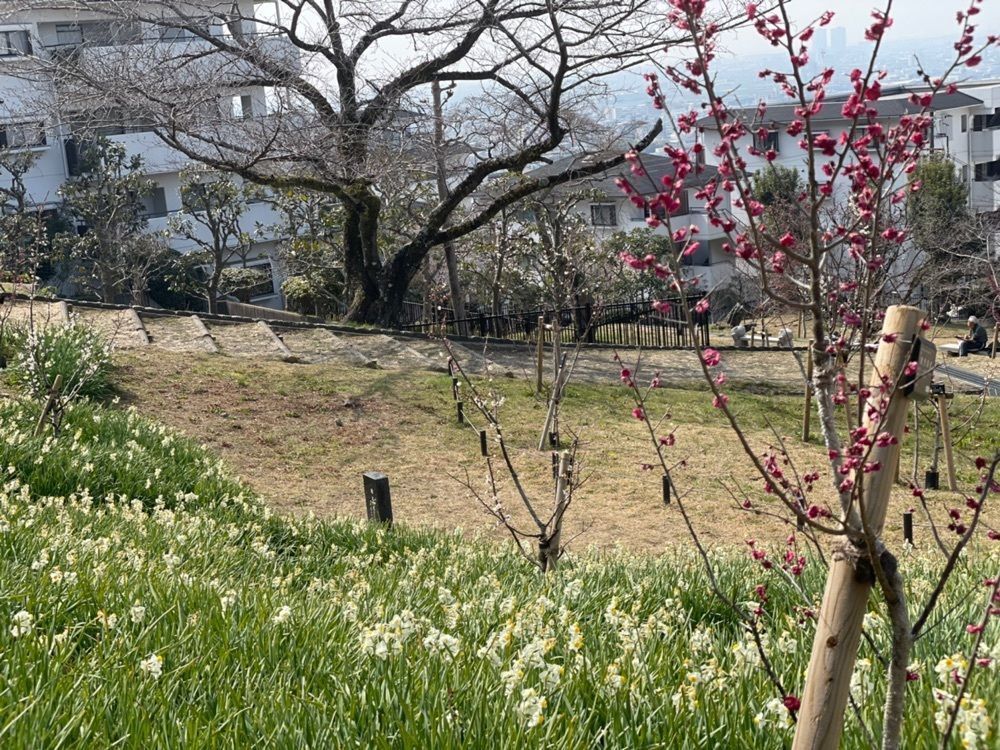 makiさんが投稿した枚岡神社に関する口コミの画像