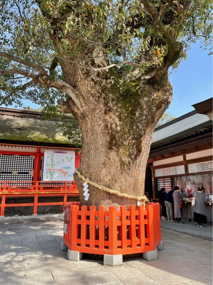みーなさんが投稿した宇佐神宮本殿に関する口コミの画像
