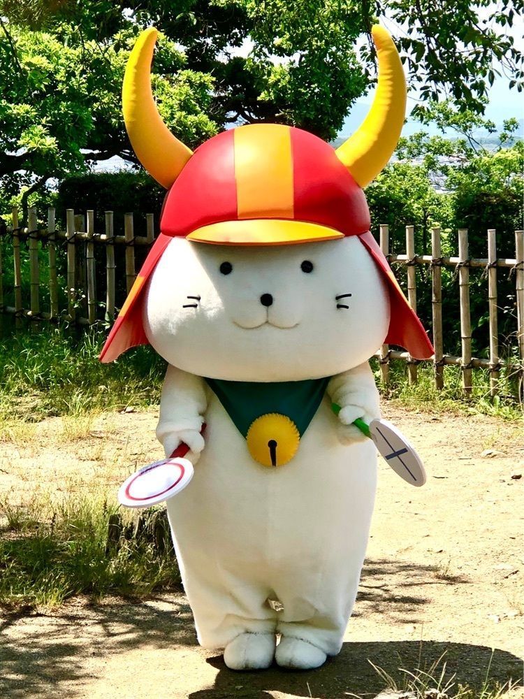 リリーの画像
