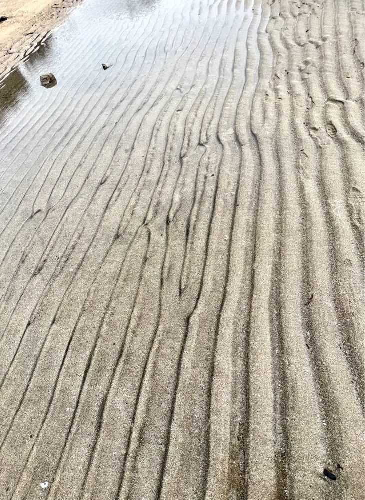 96_take4さんが投稿した秋山真之銅像に関する口コミの画像