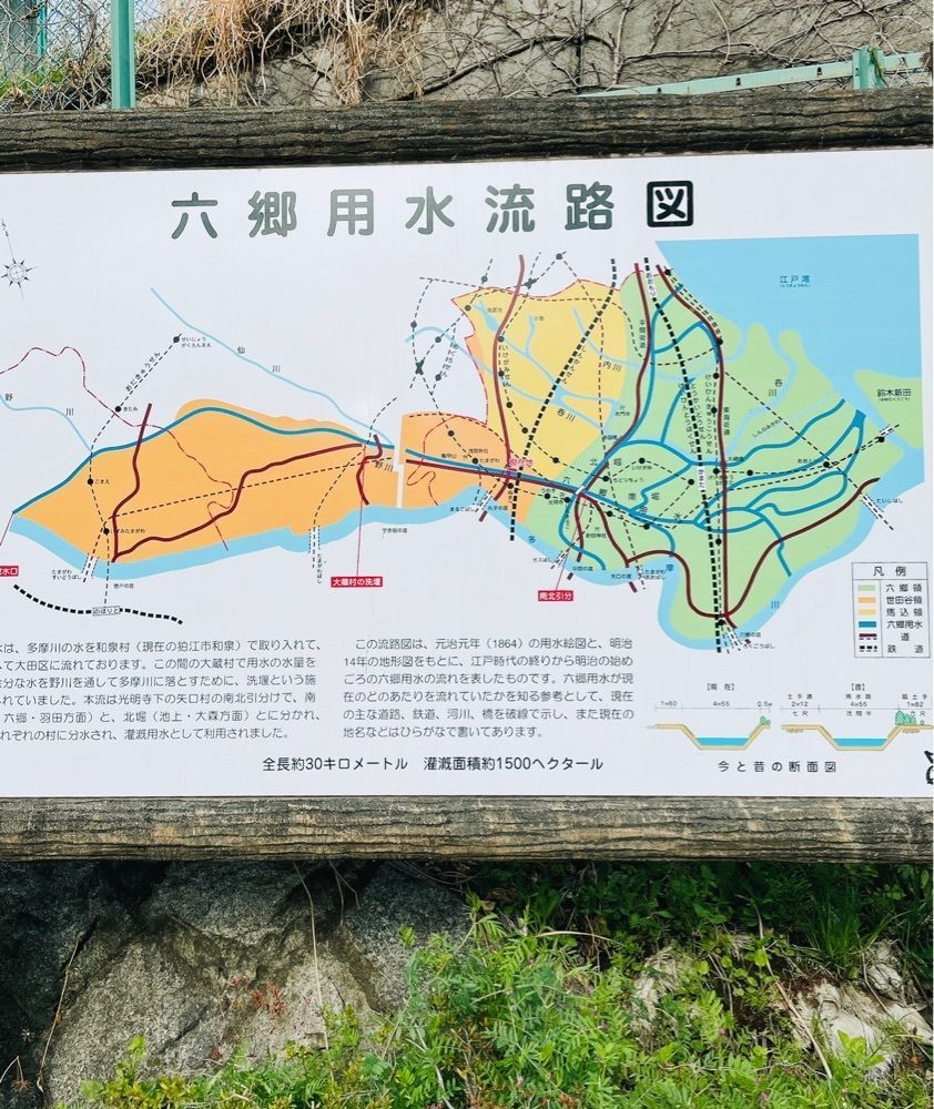 active34さんが投稿した六郷用水に関する口コミの画像