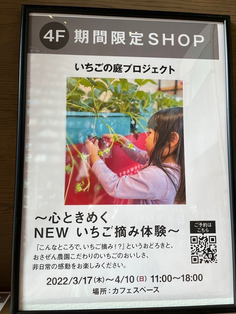chou chou tabiさんが投稿したカメラのキタムラ 枚方／枚方T－SITE店に関する口コミの画像