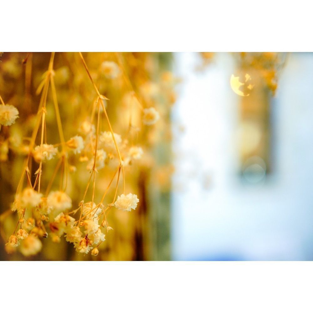 urban_garden_243aさんが投稿したサルンポヮクに関する口コミの画像