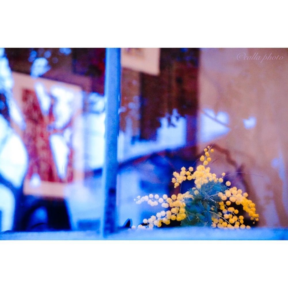 urban_garden_243aさんが投稿したサルンポヮクに関する口コミの画像