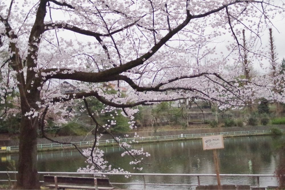 junkunさんが投稿したモスバーガー エミオ武蔵関店に関する口コミの画像