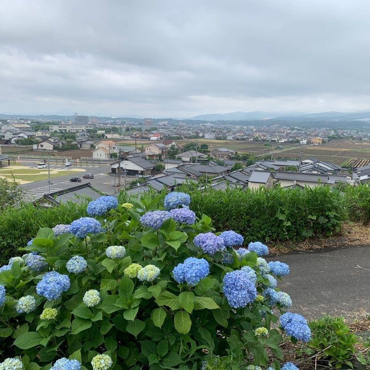formal_cafeteria_8688さんが投稿した響山公園に関する口コミの画像
