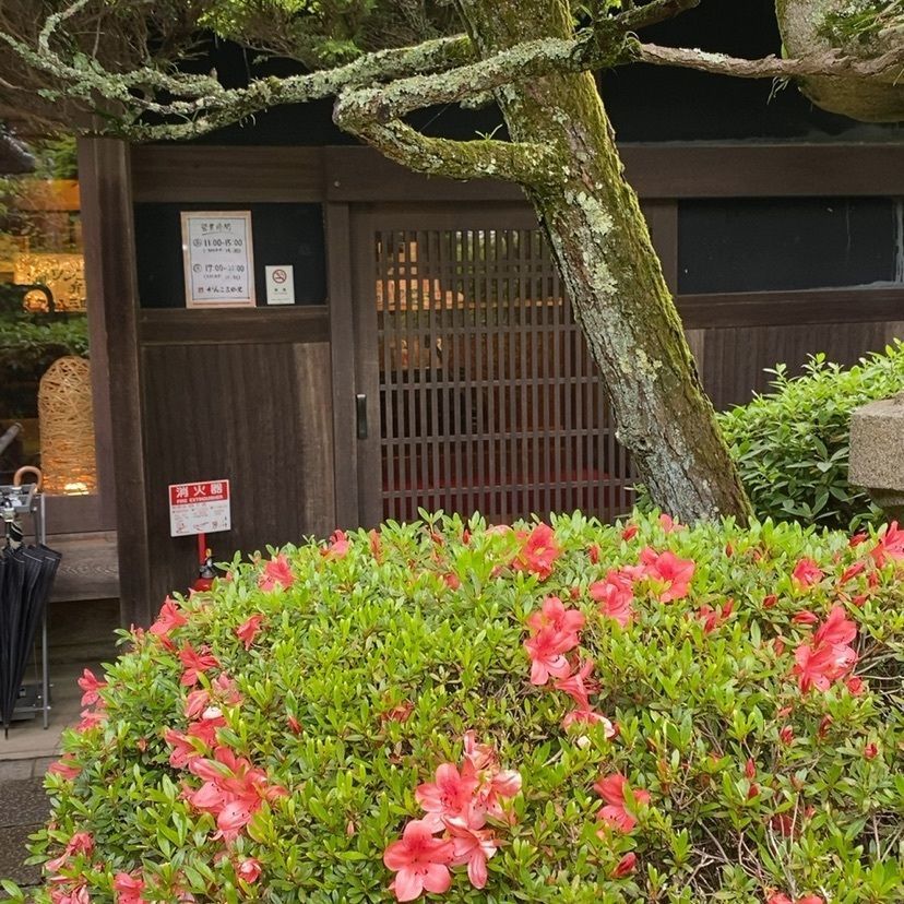 regasiさんが投稿したがんこ 三田の里に関する口コミの画像