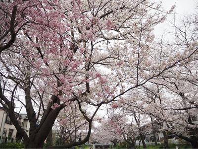 施設画像