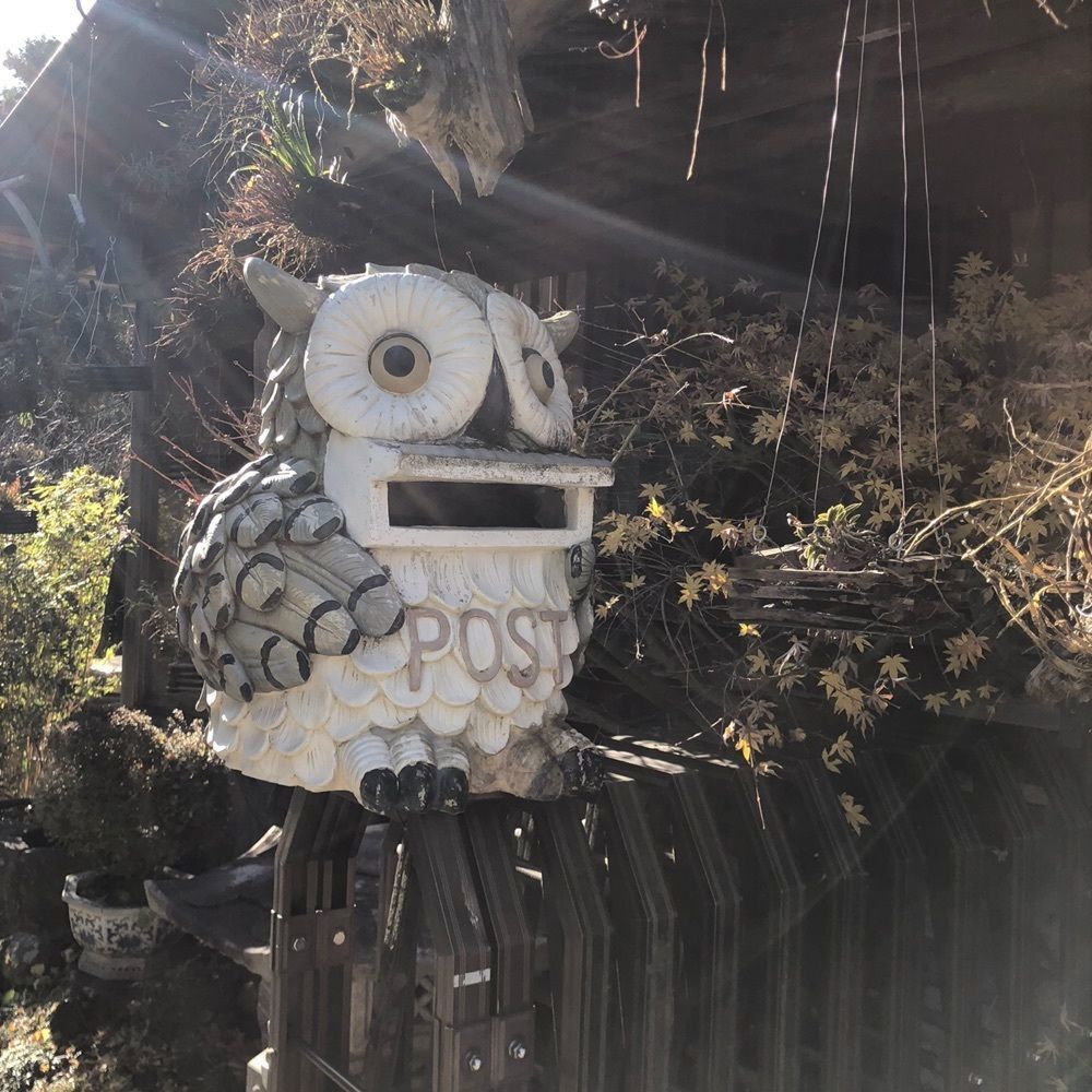 asomogさんが投稿したふか沢に関する口コミの画像