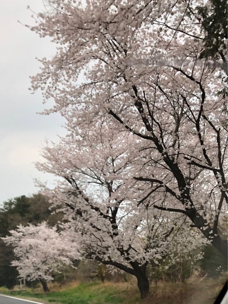からっ風②さんが投稿した愛たまご直売店に関する口コミの画像