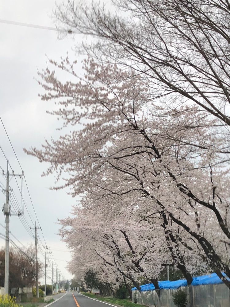 からっ風②さんが投稿した愛たまご直売店に関する口コミの画像