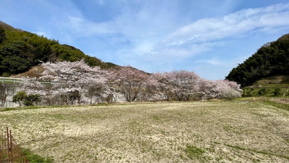 96_take4さんが投稿した玉川湖畔の里に関する口コミの画像