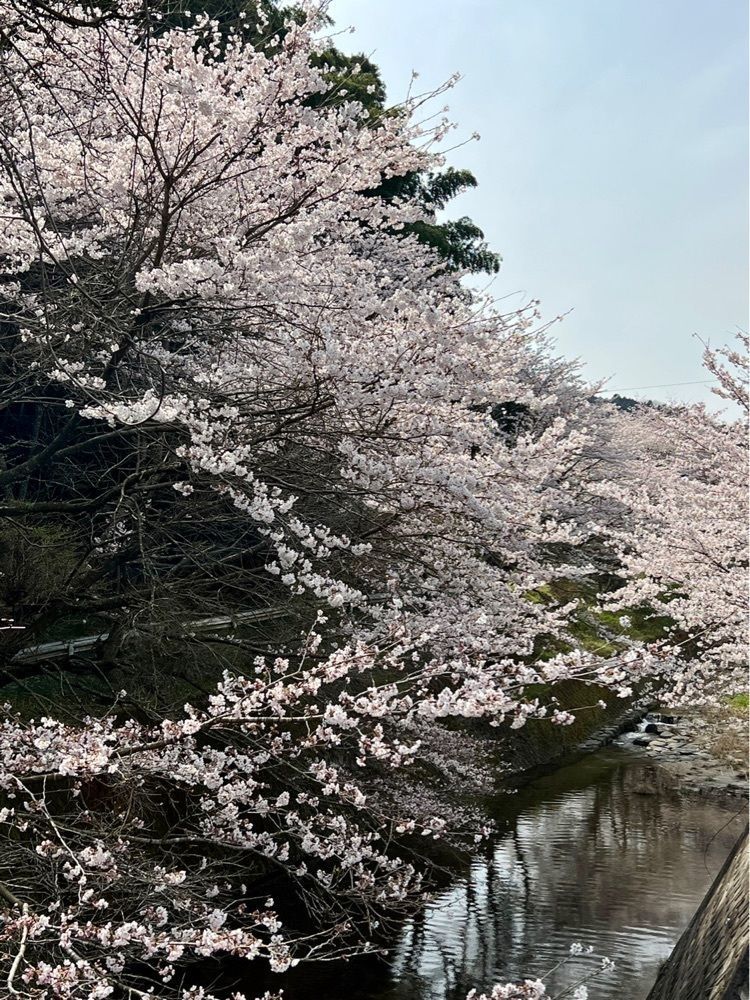 96_take4さんが投稿した玉川湖畔の里に関する口コミの画像