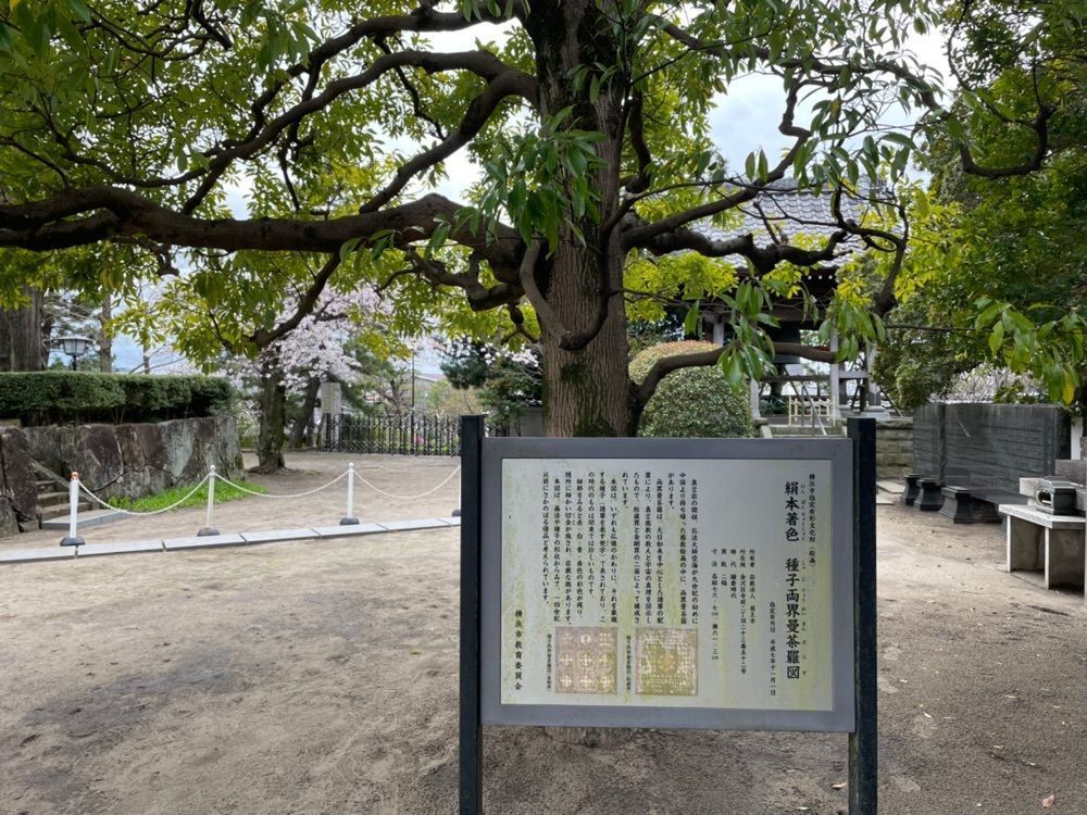 fumiさんが投稿したセブンイレブン 横浜寺前に関する口コミの画像