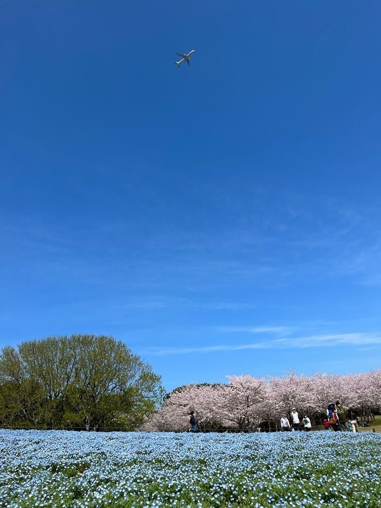 surumeさんが投稿した国営海の中道海浜公園に関する口コミの画像