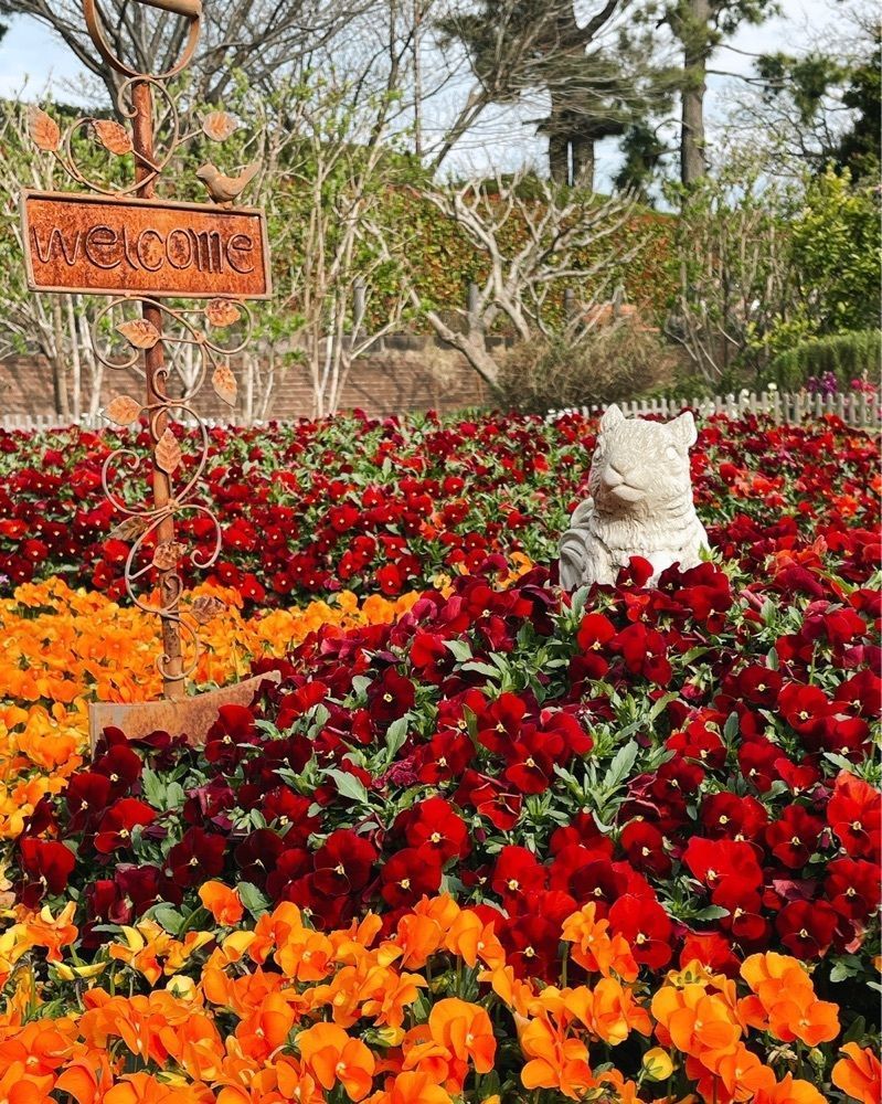 active34さんが投稿した多摩川台公園の桜に関する口コミの画像