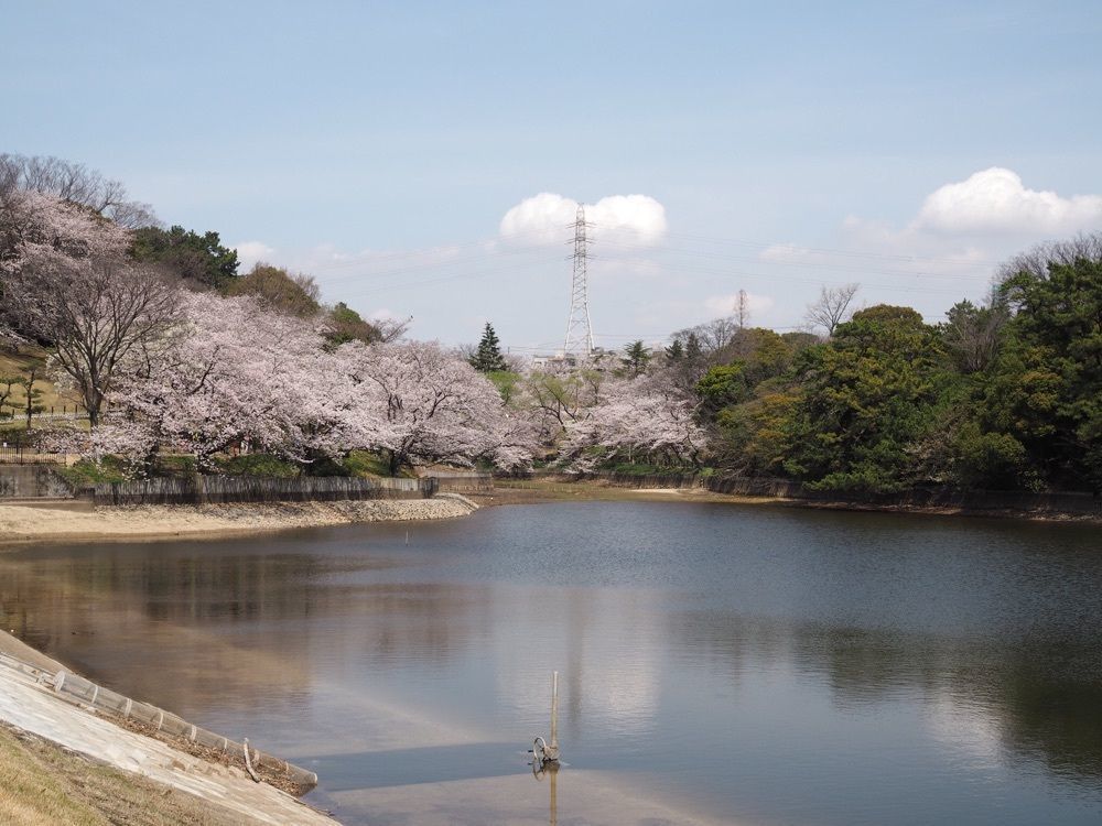なおなおさんが投稿した大池公園（愛知県東海市）に関する口コミの画像