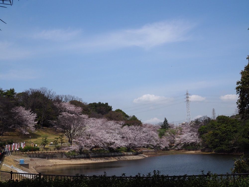 なおなおさんが投稿した大池公園（愛知県東海市）に関する口コミの画像