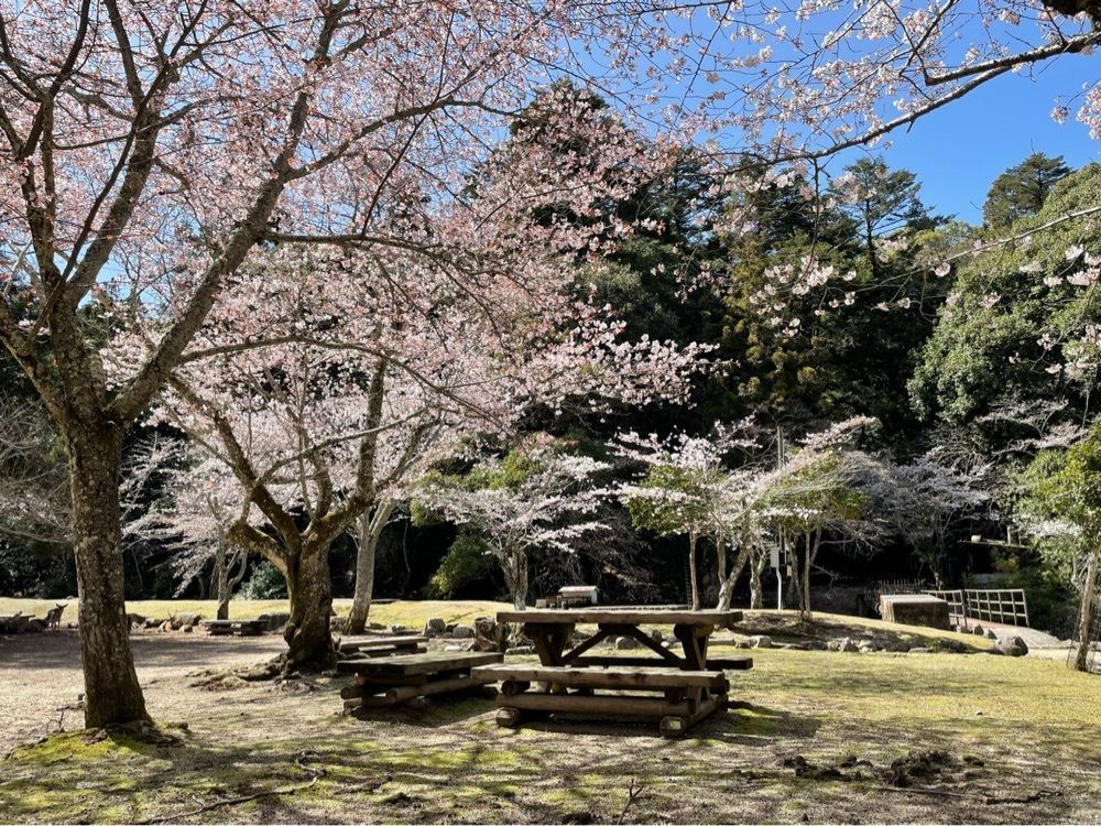 みーなさんが投稿した大元神社に関する口コミの画像