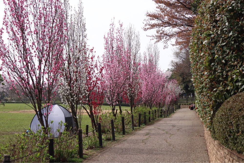 オサム ニシさんが投稿した相模原麻溝公園に関する口コミの画像
