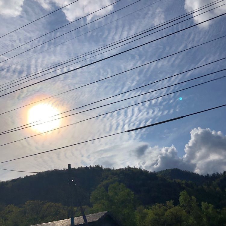 kazu&kinakoさんが投稿した札幌市南区に関する口コミの画像