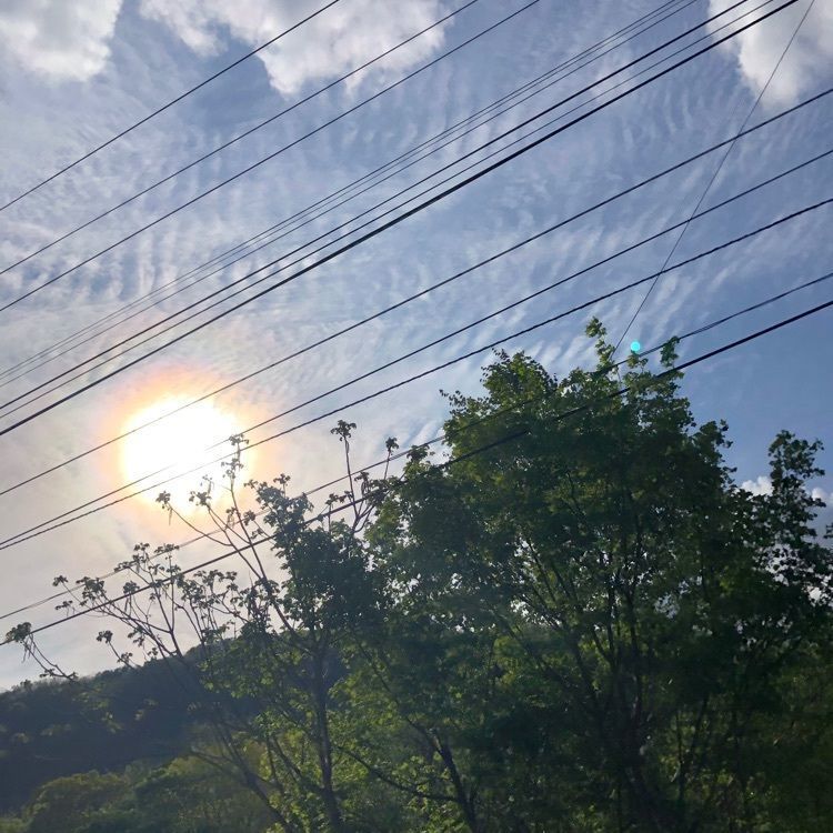 kazu&kinakoさんが投稿した札幌市南区に関する口コミの画像
