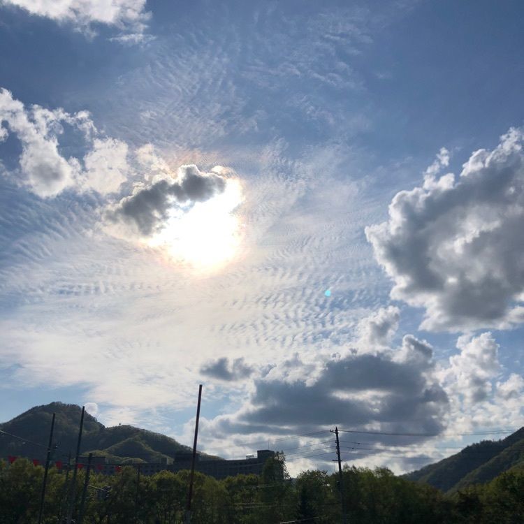 kazu&kinakoさんが投稿した札幌市南区に関する口コミの画像
