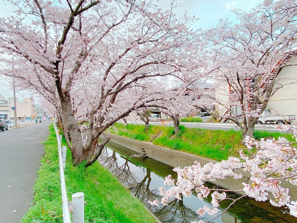鉄道こまちさんが投稿した鶴松焼肉店 平井店に関する口コミの画像