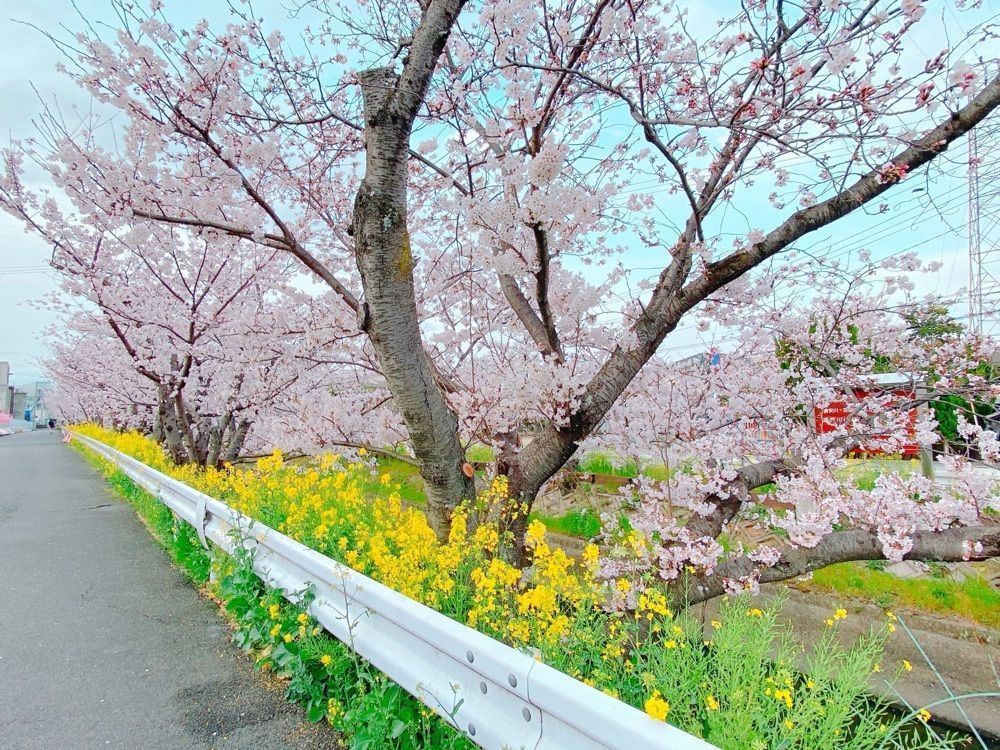 鉄道こまちさんが投稿した鶴松焼肉店 平井店に関する口コミの画像
