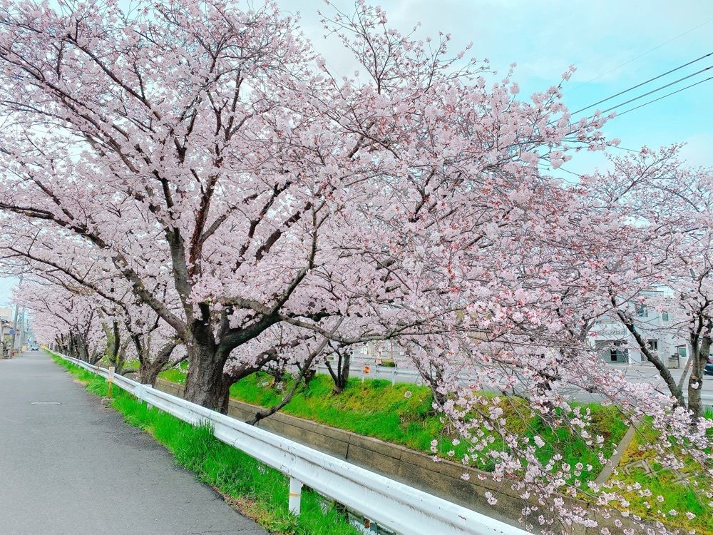 鉄道こまちさんが投稿した鶴松焼肉店 平井店に関する口コミの画像